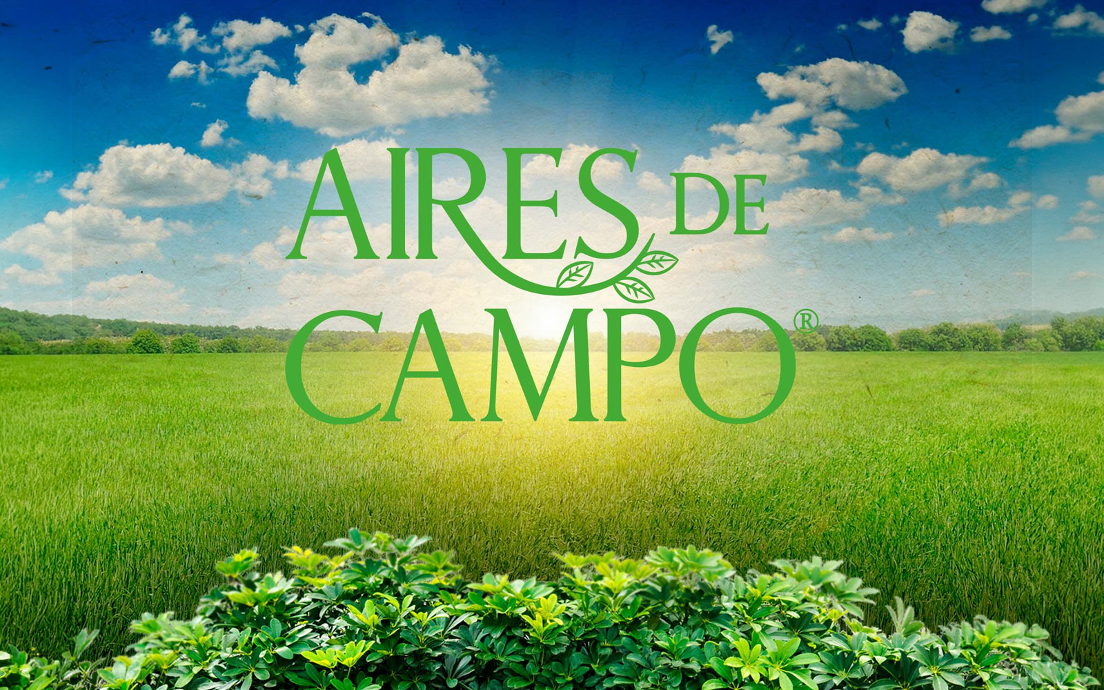 Proyecto Aires de Campo