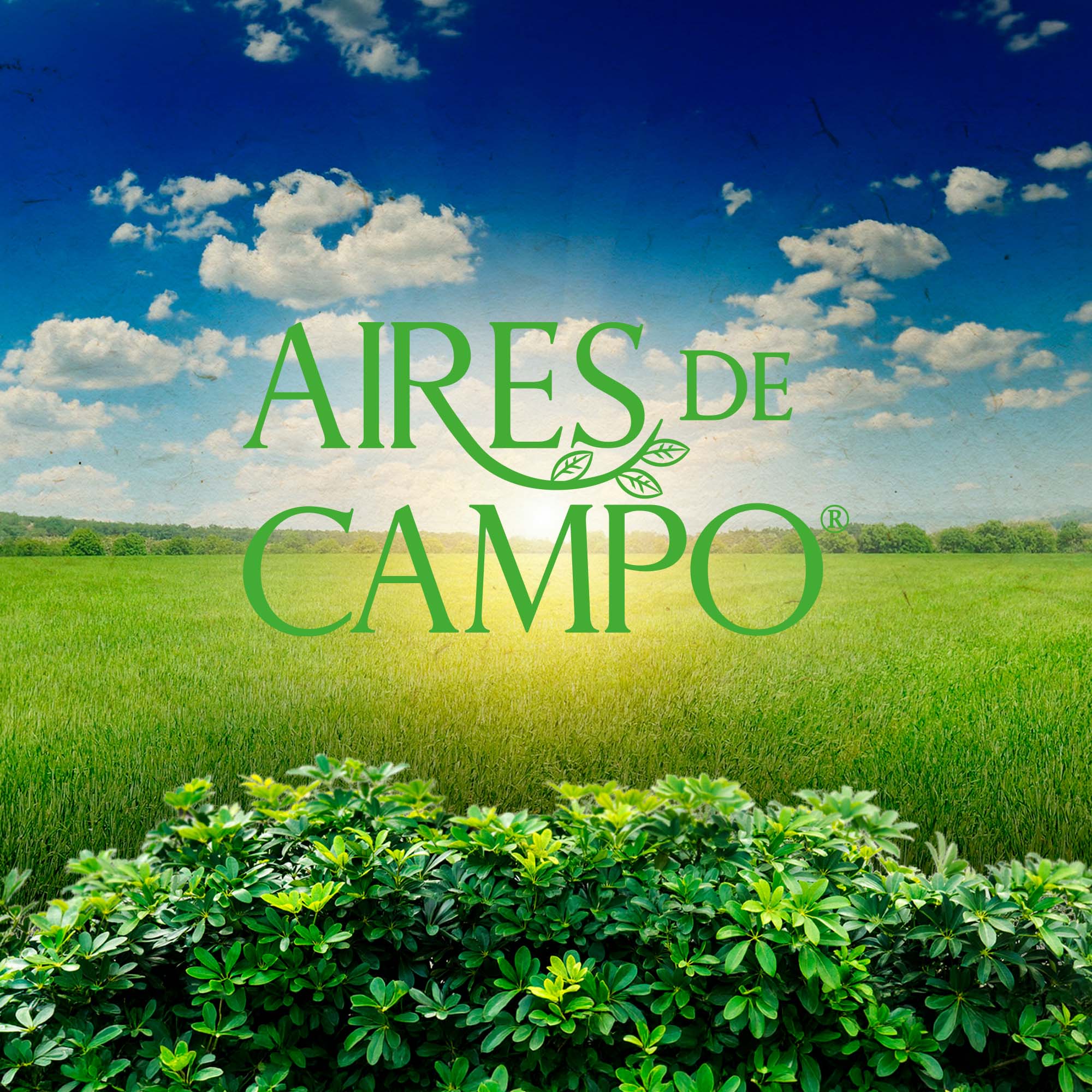 Aires de Campo