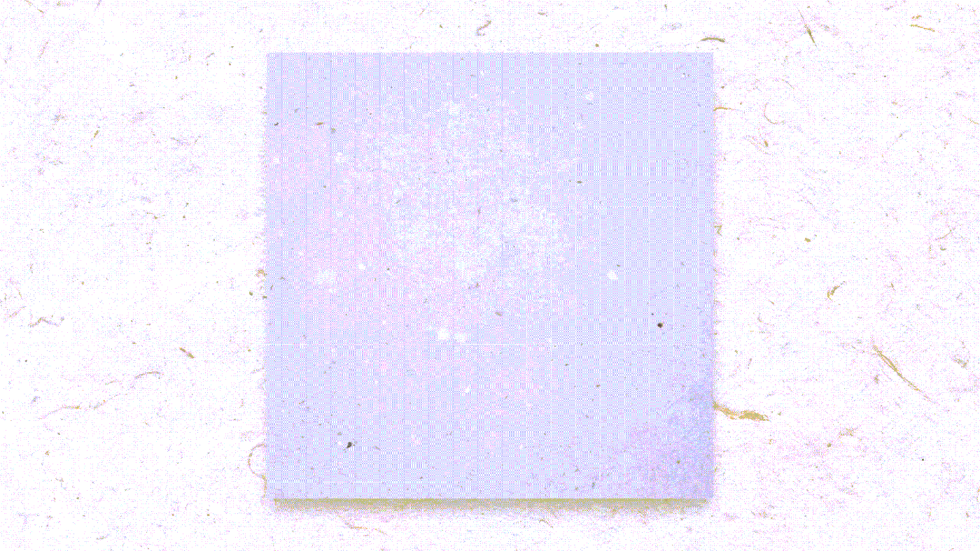 b39b7294680435.602c7b5827fd7