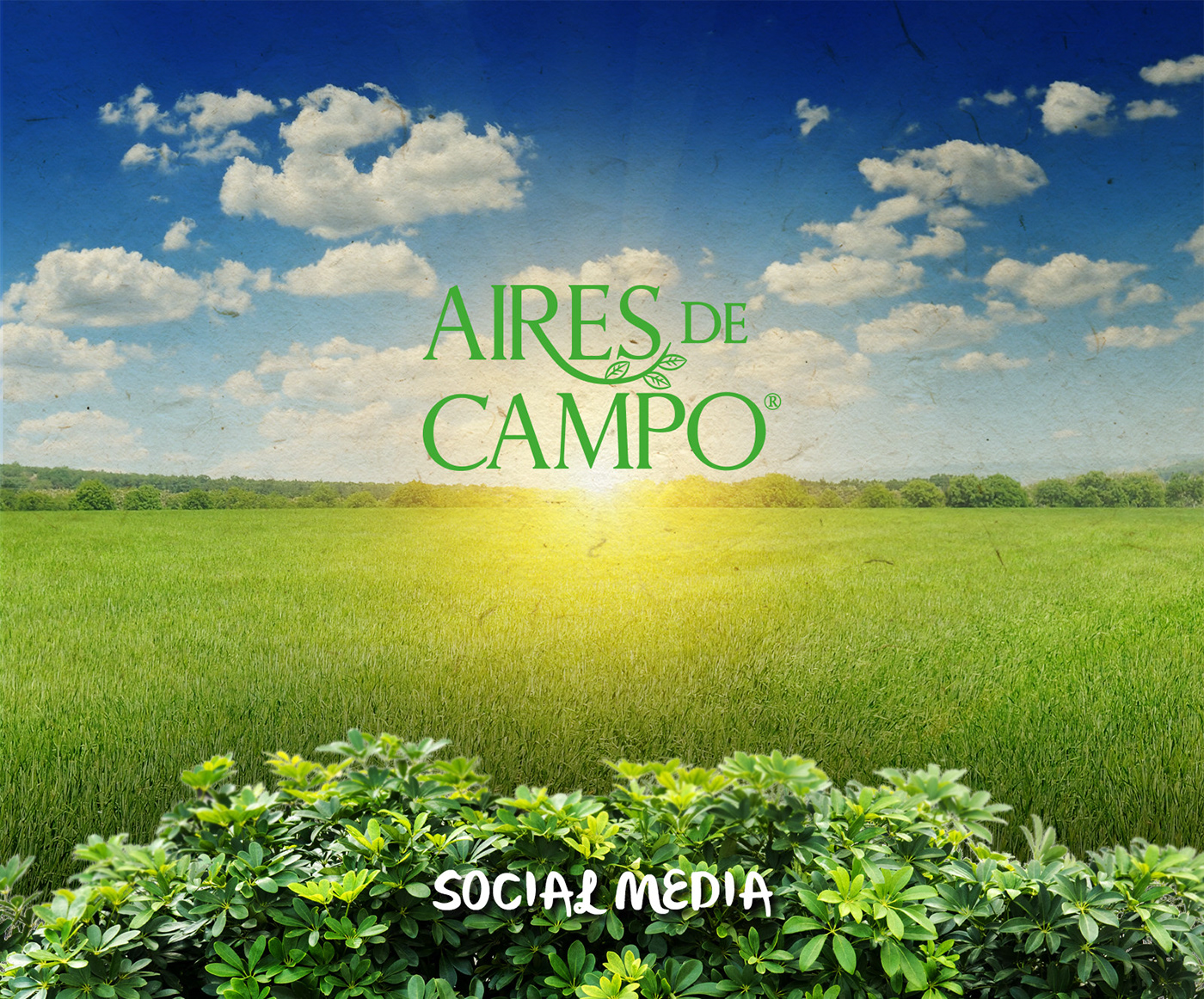 ea00c794680435.5e84c86aaf463